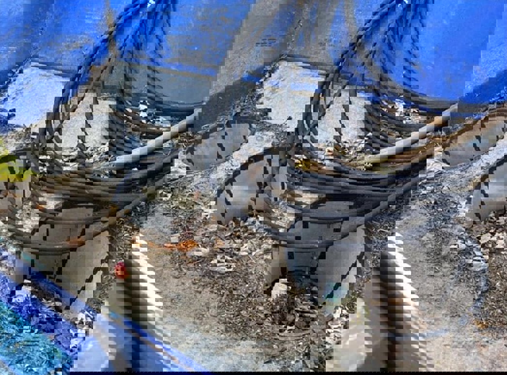  - Large view